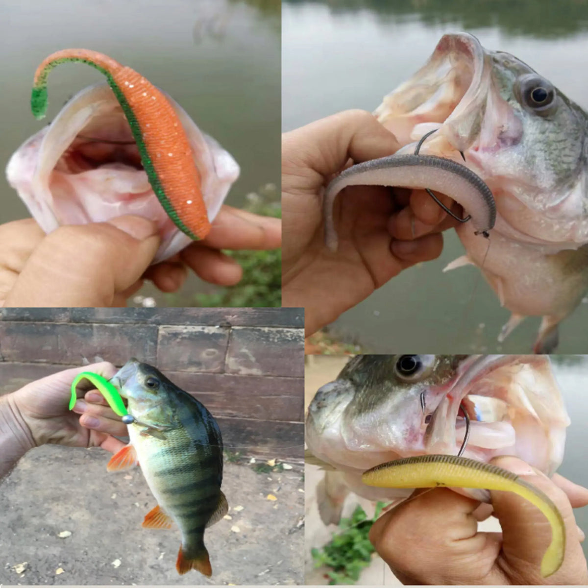 Leurre souple shad 10 cm à l'odeur de crevette (8 pièces)