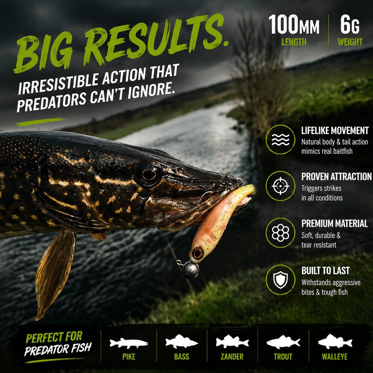 Predator Fish Attacking Curly Swimmer Lure