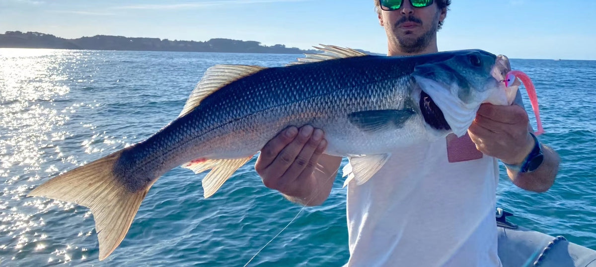 Crazy Paddle Tail – 150mm Soft Swimbait for Big Fish