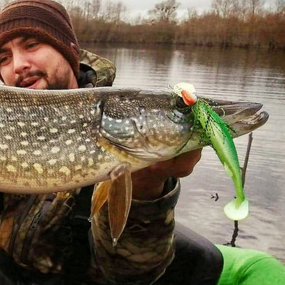 Big catch on the lake with paddle tail 125mm