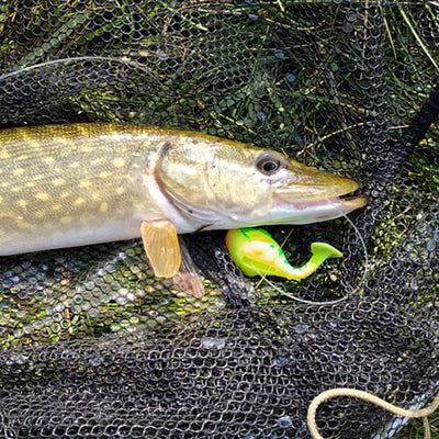 Balloonfishing 82mm Soft Fishing Lure Swimbait 1pcs