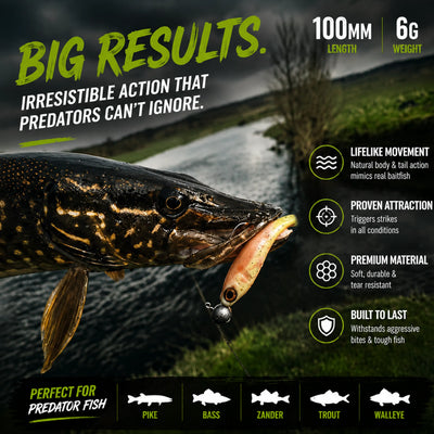 Predator Fish Attacking Curly Swimmer Lure