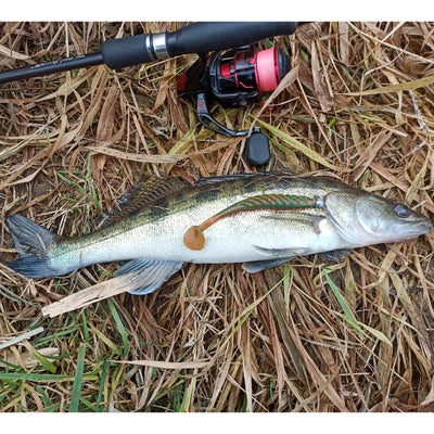 5in ripple shad lure Engine oil color fishing