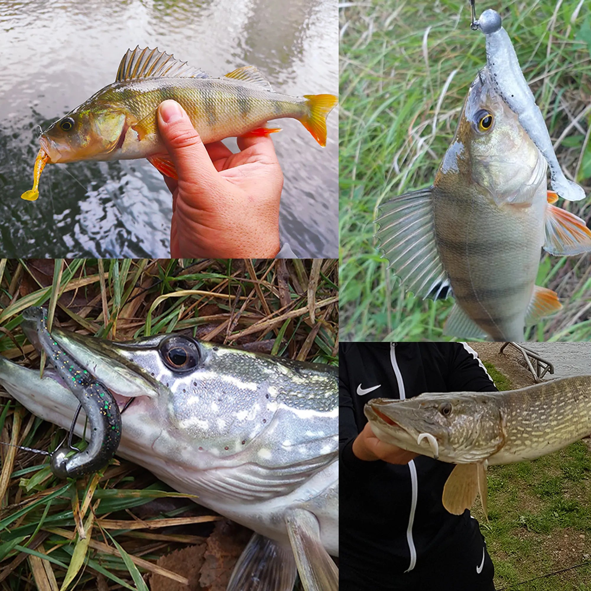 fishing easily from ESFISHING lure