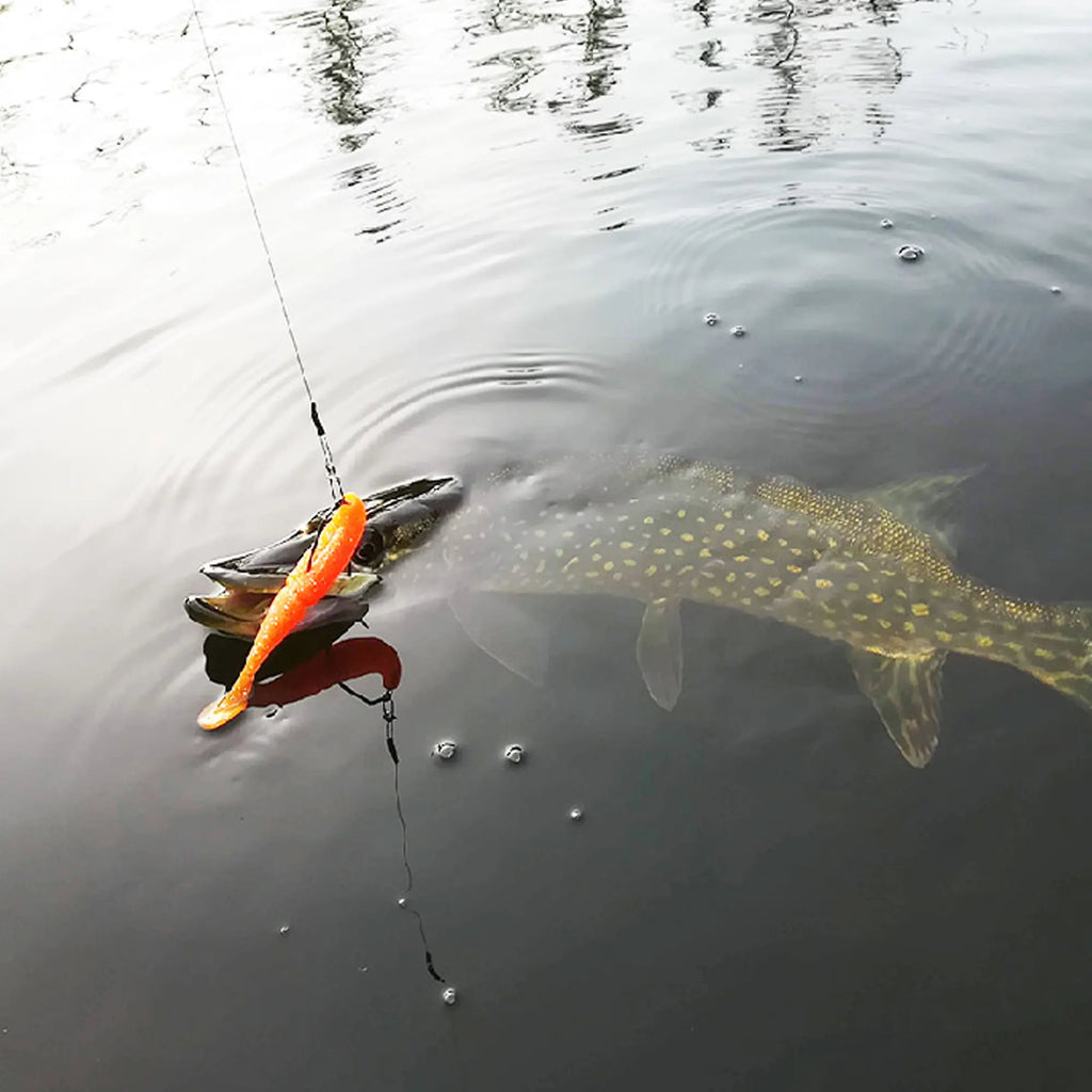 fishing with easy shiner soft lure 4in 