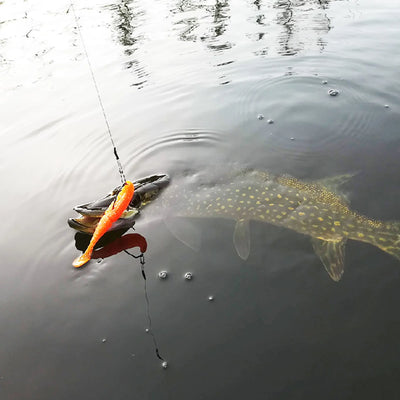 fishing with easy shiner soft lure 4in 