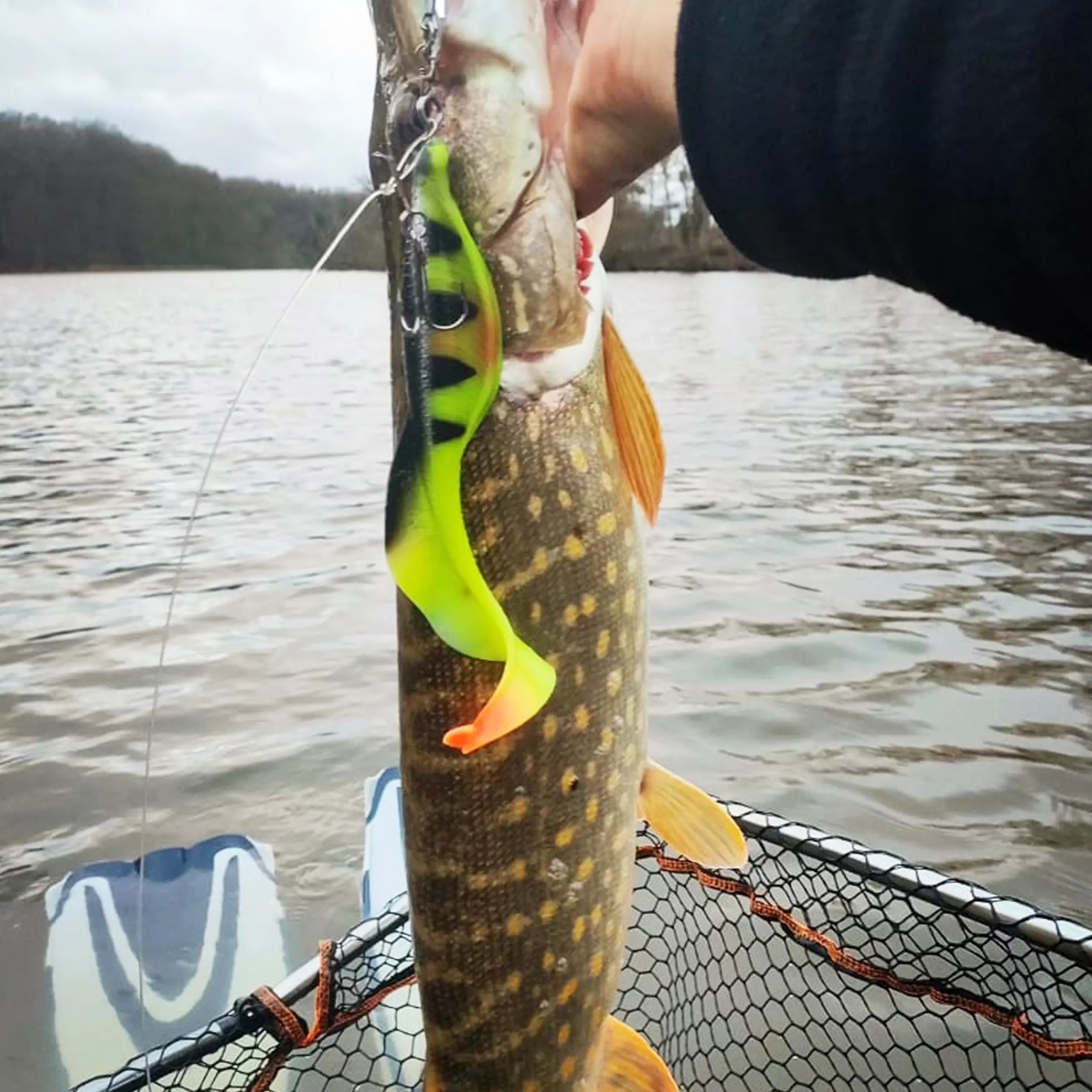 ESFishing Dragon Grub 150mm Heavy Duty Swimbaits for Trophy Bass, Pike, Walleye & Muskie